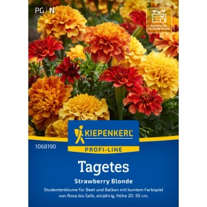 Kiepenkerl Tagetes Strawberry Blonde : Graines de tagètes aux couleurs dégradées, du jaune au brun rougeâtre.