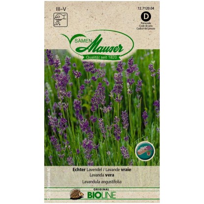 Echter Lavendel Bio kaufen bei OBI