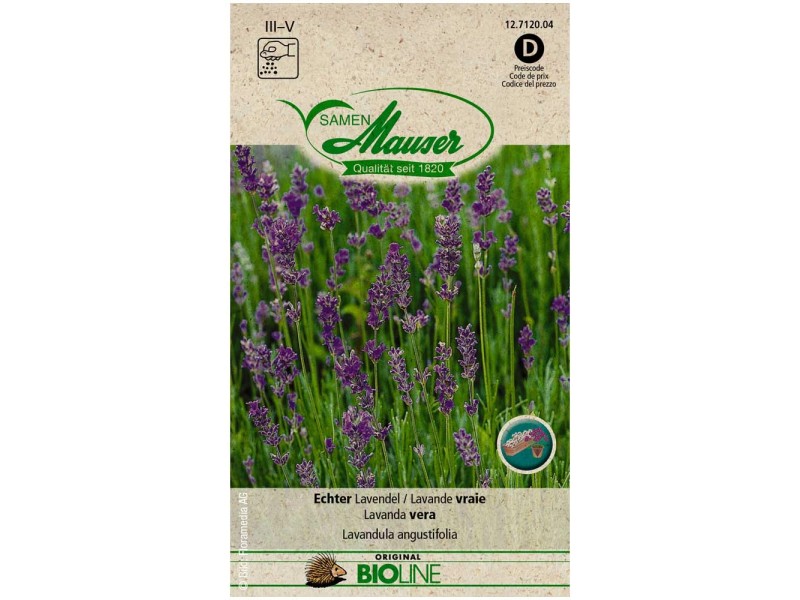 Echter Lavendel Bio kaufen bei OBI