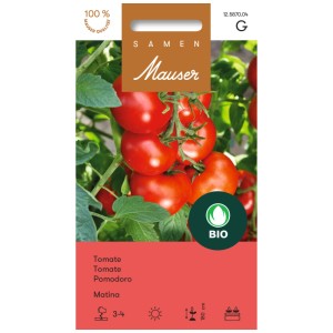 Sachet de graines de tomate Matina : Tomates précoces rouge vif sur la plante.
