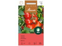 Tomate Matina