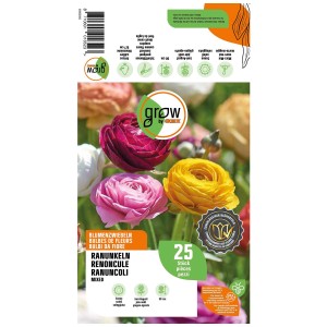 Grow by OBI Ranuncoli misti, 25 pezzi. Bulbi da fiore con fiori colorati in giallo, rosa e rosso.