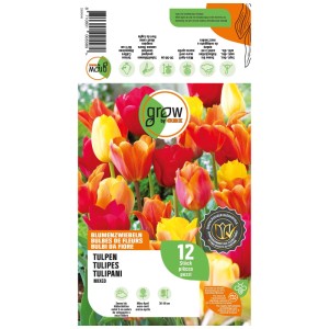 GROW by OBI Collezione Tulipani 2, mix di tulipani rossi, gialli e arancioni, 12 pezzi.