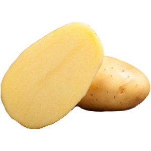 Patata da semina biologica Vitabella, polpa gialla, dimezzata e intera, per la coltivazione in giardino.