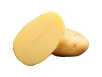 Bio Saatkartoffel Vitabella 2,5 kg