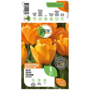 Confezione GROW by OBI Bulbi Tulipano Daydream Arancio, 6 pz. Mostra fiori di tulipano arancioni, 45 cm.