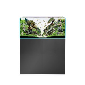 Oase ScaperLine 100 Gris aquarium (250 l) avec meuble et décoration aquascape.