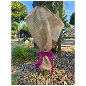 Nastro decorativo in juta Videx Garden marrone con fiocco color bacca protegge un fusto di pianta in giardino.