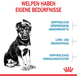 Cucciolo di taglia grande seduto accanto alle informazioni su Royal Canin Maxi Puppy cibo secco.