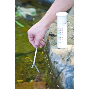 Heissner test rapido 6in1: Mano immerge striscia reattiva nell'acqua del laghetto per l'analisi.