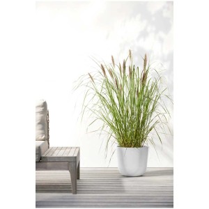Vaso per piante bianco Ecopots Oslo (Ø 25cm) con pianta, ideale per giardino e patio.