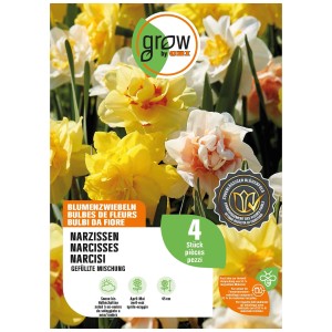 GROW by OBI Narzissen-Mischung, gefüllte Blüten in Gelb, Weiß und Orange.