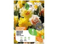 GROW by OBI Narzissen-Mischung 45 cm