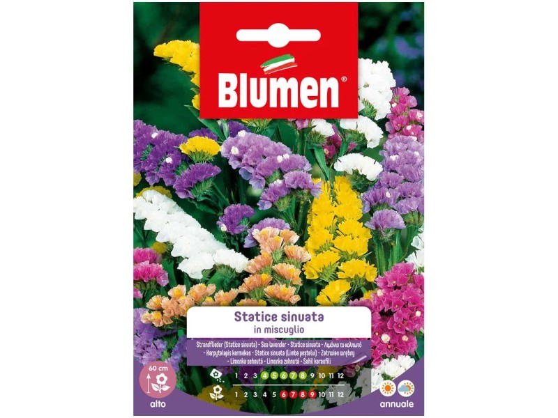 Wunderschãƒâne Obi Blumen Angebote Ebenbild