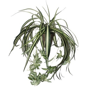 Pianta artificiale Chlorophytum in vaso, altezza 45 cm. Pianta decorativa da interno con foglie verdi e bianche.