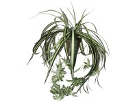 Mica Decorations Kunstpflanze Chlorophytum Grün Topf Ø 45 cm / Höhe 45 cm