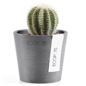 Pot de fleurs Ecopots Amsterdam Mini, gris, 8 cm, avec cactus. Idéal pour l'intérieur et l'extérieur.
