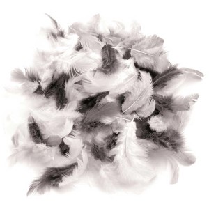 Plumes décoratives blanches, noires et grises, environ 30 pièces pour travaux manuels et décorations.