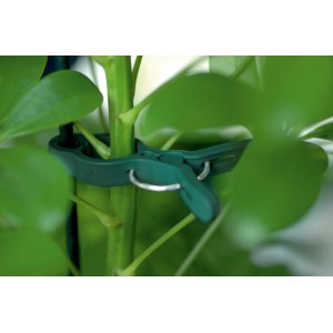 Clips pour plantes vertes en 3 tailles (20 pièces) fixant une plante à un tuteur.