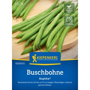 Fagiolini Kiepenkerl Duplika: Fagiolini verdi su legno, varietà resistente.
