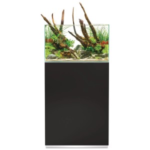 Oase Aquarium-Set Scaperline 60 Noir avec plantes et bois décoratif à l'intérieur.