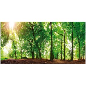 Quadro su tela "Spring Forest" (50x100 cm): Motivo forestale con alberi verdi e sole.