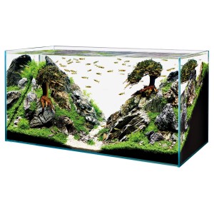 Oase ScaperLine 100 aquarium avec design aquascape, 250 l, argenté-transparent.