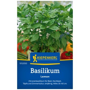 Graines de basilic citron Kiepenkerl : Pot avec des feuilles de basilic vertes.