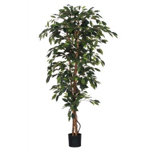 Pianta artificiale Ficus verde Mica Decorations in vaso, alta 170 cm. Pianta decorativa da interno.