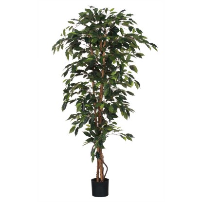 Mica Decorations Kunstpflanze Ficus Grün Topf Ø 80 cm / Höhe 170 cm