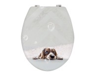 MSV WC-Sitz Doggy Bath MDF Mehrfarbig (HxBxT) 42,5 x 36,5 x 5 cm
