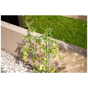Tour à tomates Windhager en métal vert avec plant de tomate, Ø 35 cm, hauteur 106 cm.