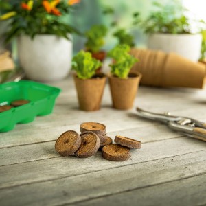 Quelltabs 3.5 cm Ø, 20 pezzi per la propagazione delle piante su superficie di legno.