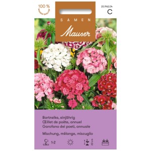 Sachet de graines d'œillets de poète annuels, mélange de fleurs blanches, roses et rouges.