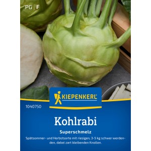 Kiepenkerl Kohlrabi Superschmelz : Chou-rave géant, bulbe vert clair avec bases de feuilles.