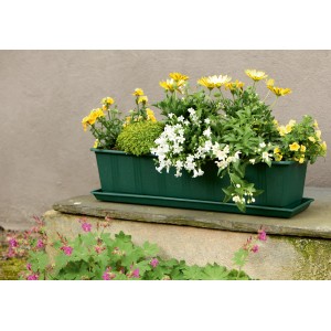 Jardinière Standard vert foncé 59cm plantée de fleurs colorées.