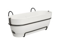 Elho Balkonkiste Vibia Campana Seidenweiss (HxBxT) 26 x 50 x 17 cm
