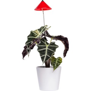 Lampada LED per piante Parus Sunlite 7W (Rosso) con asta telescopica per la crescita indoor.