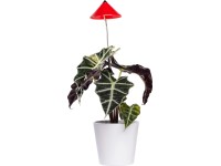 LED-Pflanzenlampe Sunlite Rot 7 W