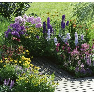 Assortiment coloré de différentes plantes vivaces dans un parterre de jardin.
