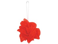 MSV Duschblume Polypropylen Rot (HxBxT) 5,5 x 10 x 13 cm