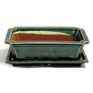 Pot à bonsaï vert avec soucoupe, diamètre d'environ 25 cm. Idéal pour les bonsaïs.