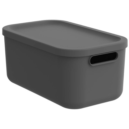 Rotho Multibox Albula Anthrazit 12 l