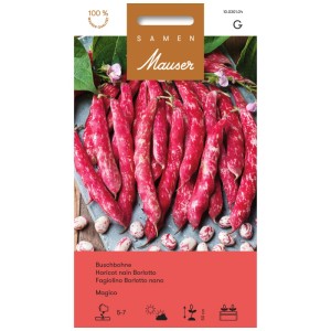 Sachet de graines de haricot nain Mauser Magico, haricots Borlotto mouchetés rouge et blanc.