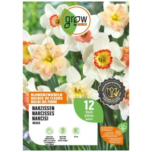 GROW by OBI Narzissen Kollektion, Mischung mit weißen und orangefarbenen Blüten, 12 Stück.