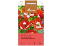 Mohn Schweizerfahne Papaver