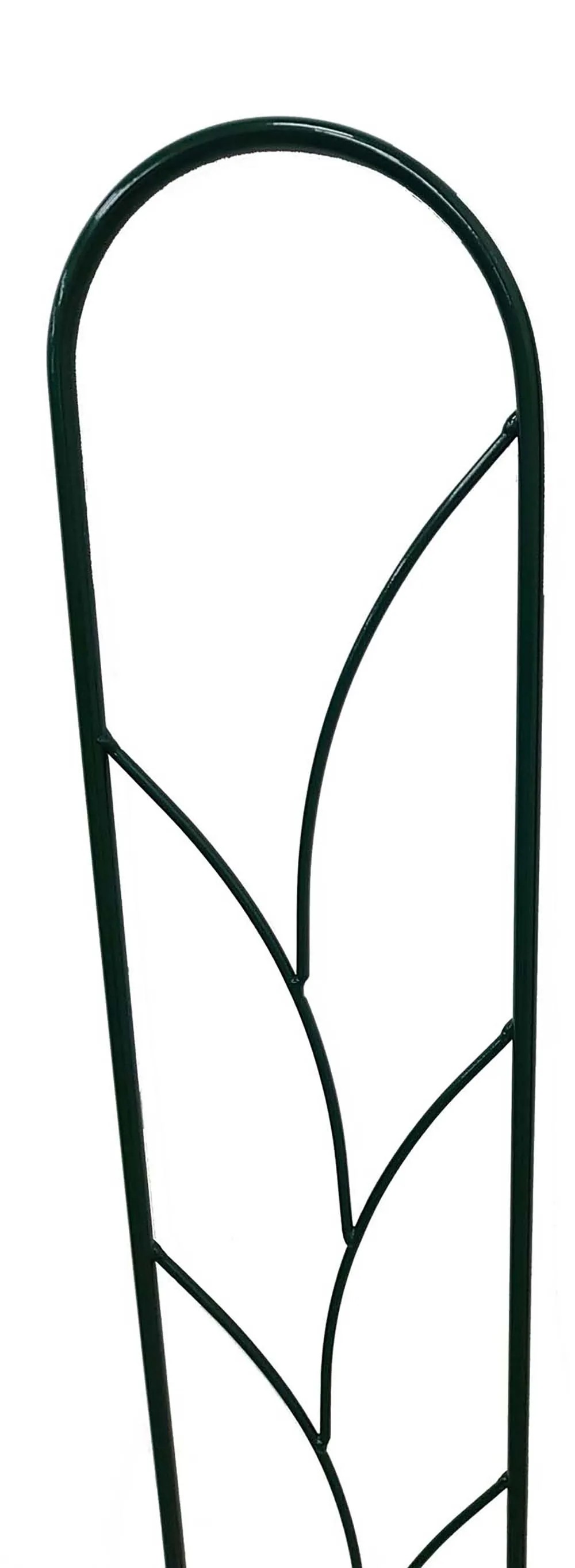 Clematis-Spalier Ranke Montana-Grün 15 x 150 cm kaufen bei OBI