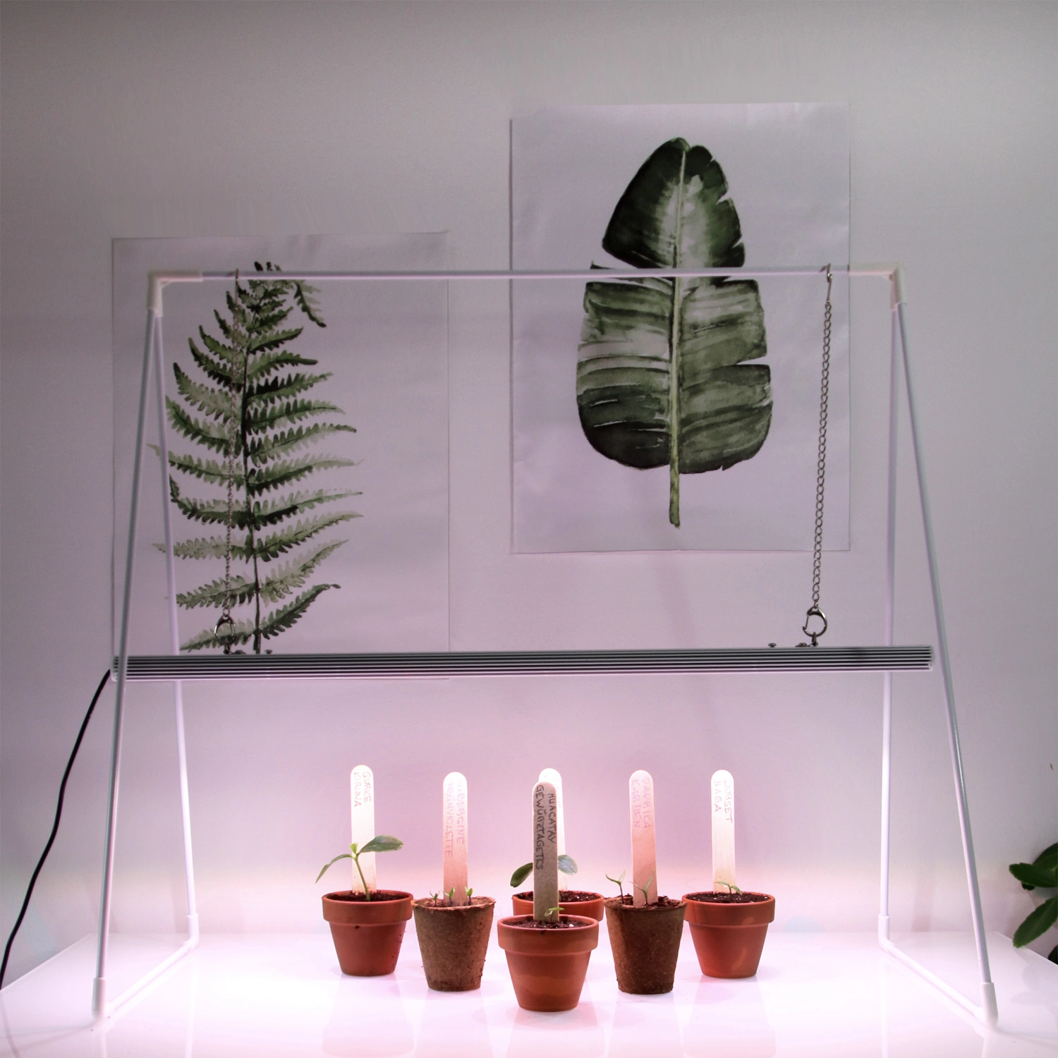 Lampe pour plantes LED Indoor plants 18 W / E27
