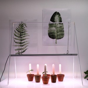 Parus LED lampada da crescita GrowLight Duo con stativo e piante in vaso sotto la luce.