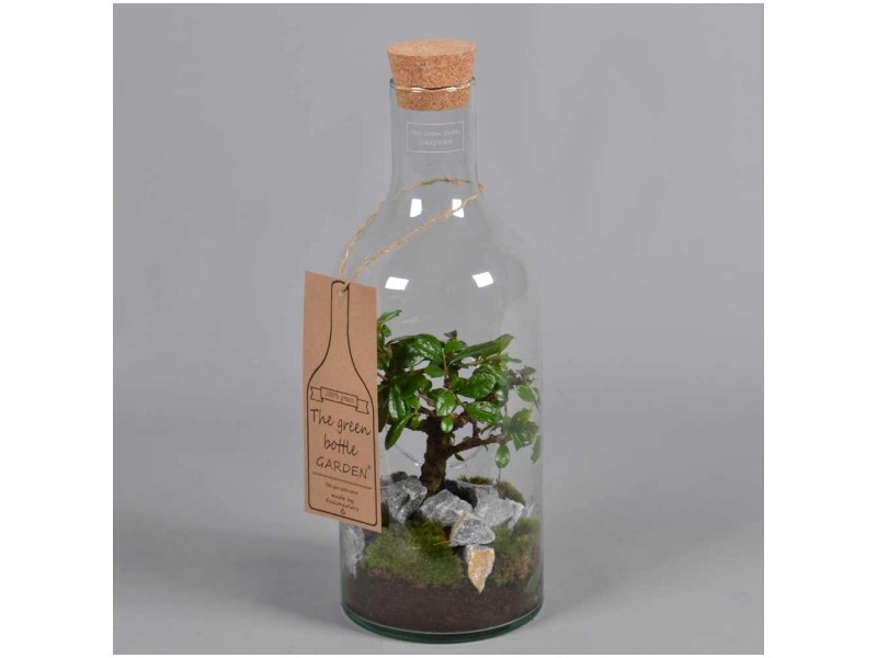 Green Bottle mit Bonsai Ø 15 cm kaufen bei OBI